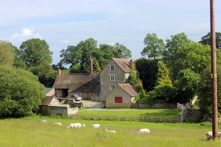 A stone house with a red door, surrounded by a grassy field and sheep.