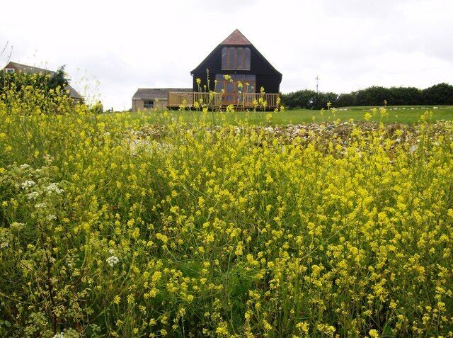 Holiday house at Hill Farm This looks as though it could be a holiday home with a nice view; it looks too small to be the main farm building. There is still the remnants of the rape crop here.