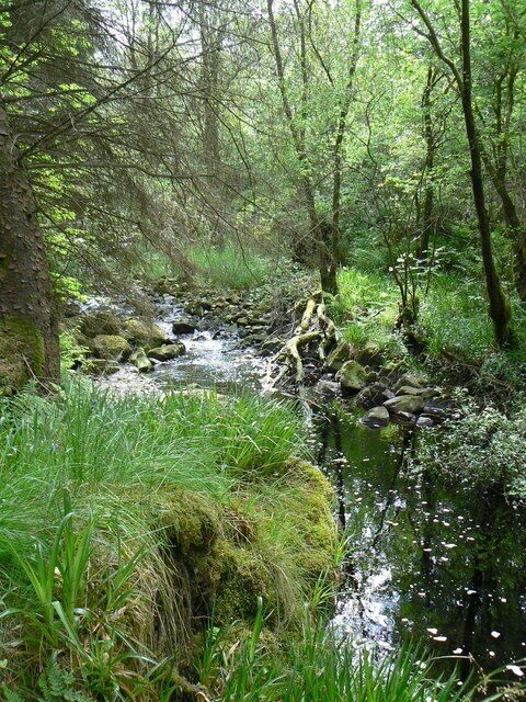 Cross Water Burn flowing past the Martyrs' Tomb