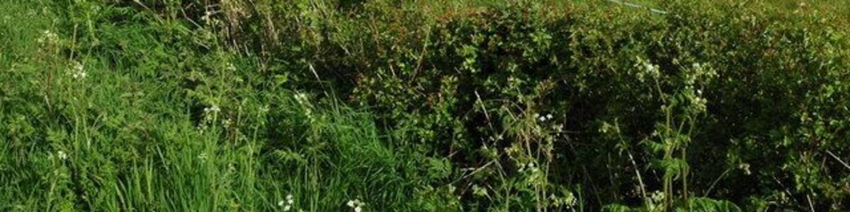 Seaford Grange, Naunton Beauchamp Seaford Grange viewed across a field.