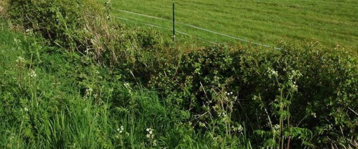 Seaford Grange, Naunton Beauchamp Seaford Grange viewed across a field.