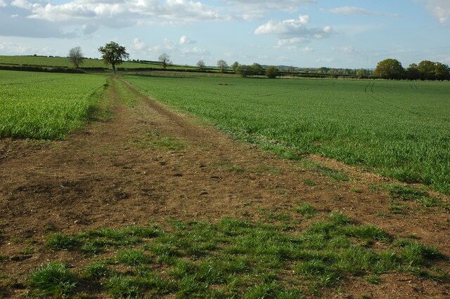 Arable land near Peopleton A footpath crosses this arable field in the direction of the tree in the hedgerow on the far side of the field.