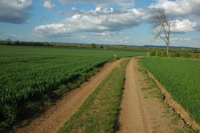 Track and footpath near Peopleton Track and footpath across an arable field to the east of Peopleton.