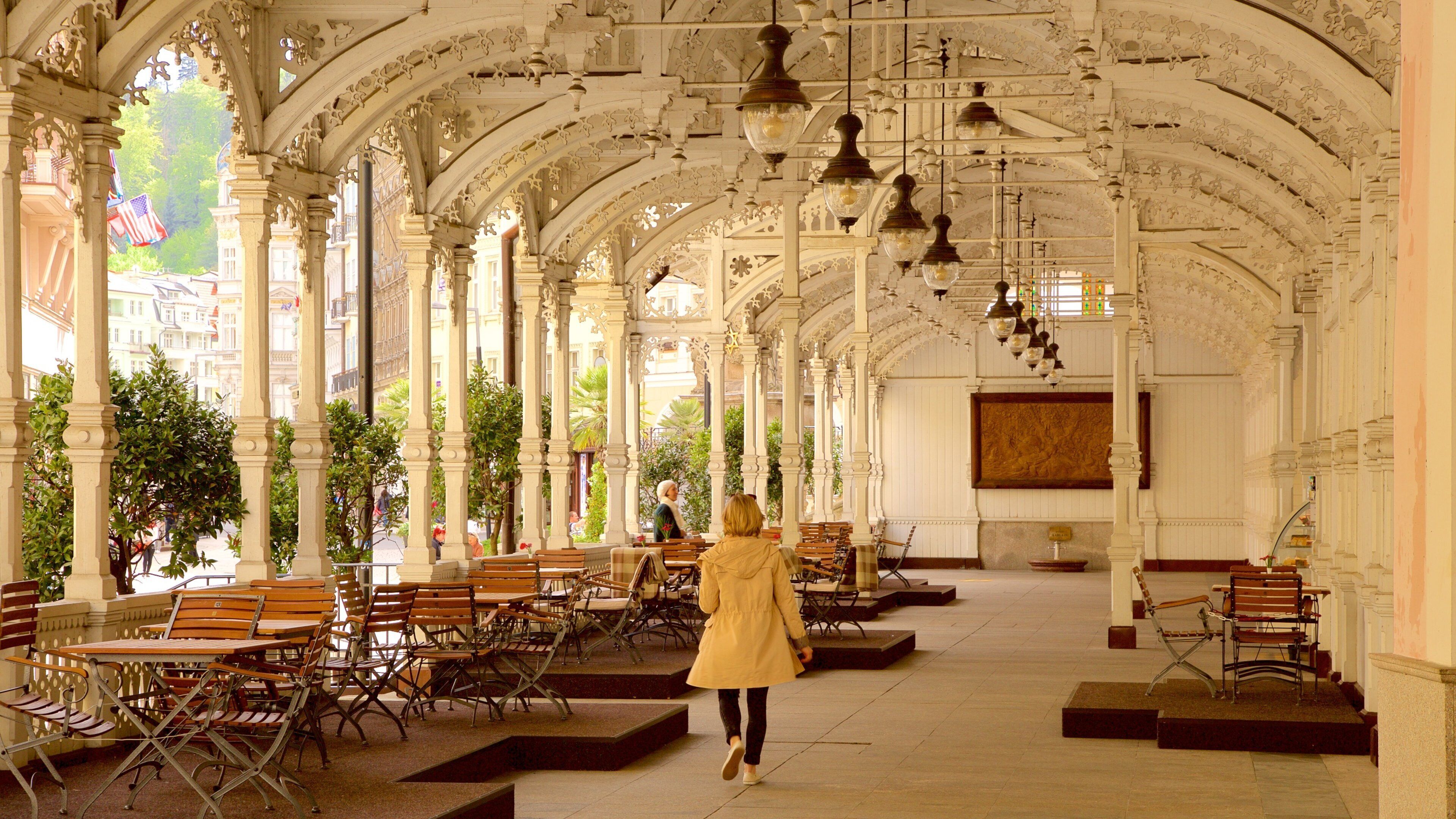 Karlovy Vary featuring heritage elements