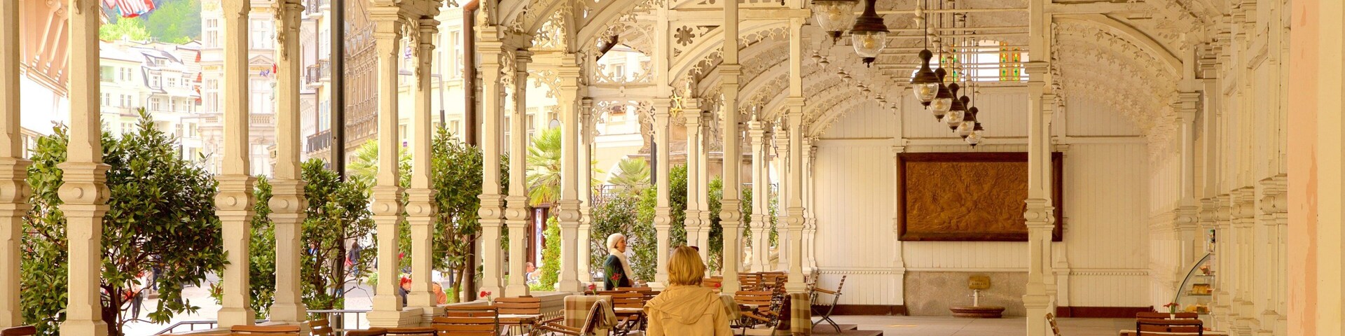 Karlovy Vary which includes heritage elements
