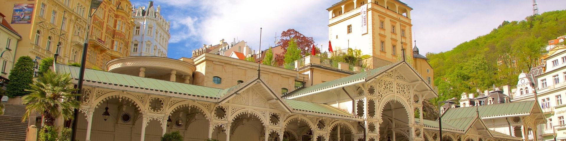 Karlovy Vary showing heritage elements, a square or plaza and a city