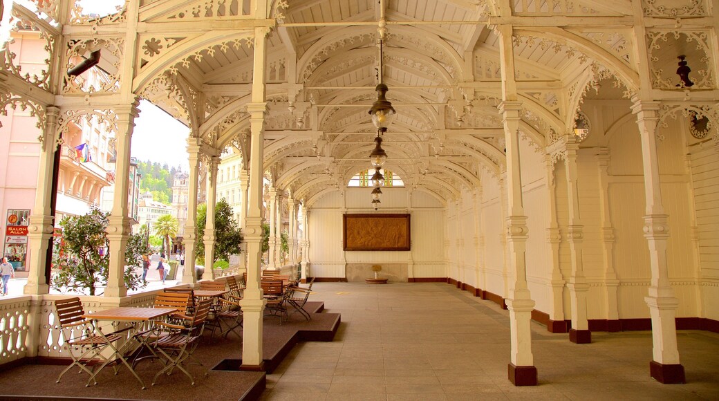 Karlovy Vary que inclui elementos de patrimônio e vistas internas