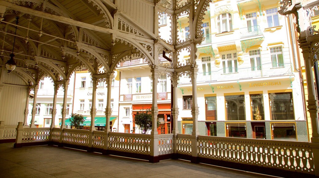 Karlovy Vary toont historisch erfgoed en een stad