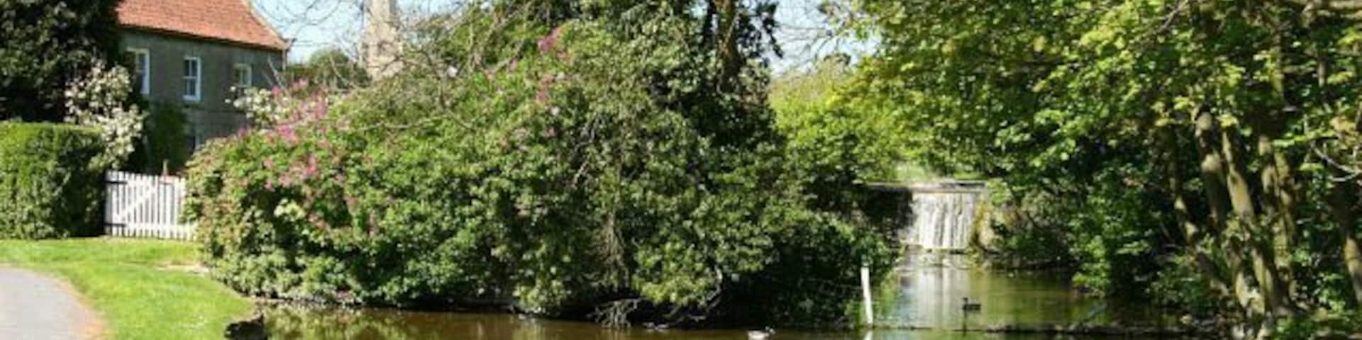 Brompton Beck. The photograph is of the northern end of the western arm of Brompton Beck and is looking toward the weir that feeds the beck from 428681. The building on the left is part of Low Hall Farm and it is also possible to make out the spire of 426956. A public footpath runs in front of the building shown and connects with 426845 near to All Saints Church 426872. Where the water appears to approach the white gate on the left it actually empties into a drain that supplies a 427836 near the to junction of 427800 with 427814. A few metres behind the viewpoint the eastern arm of the beck joins this water to flow under a bridge that takes an unnamed loop 428558 to the farm and a small group of cottages. For a more southerly view of the beck, click here 428560.