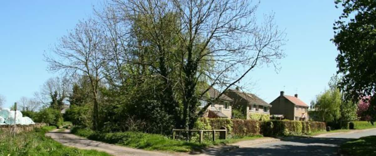A rural road with houses on one side and a grassy area with trees on the other.