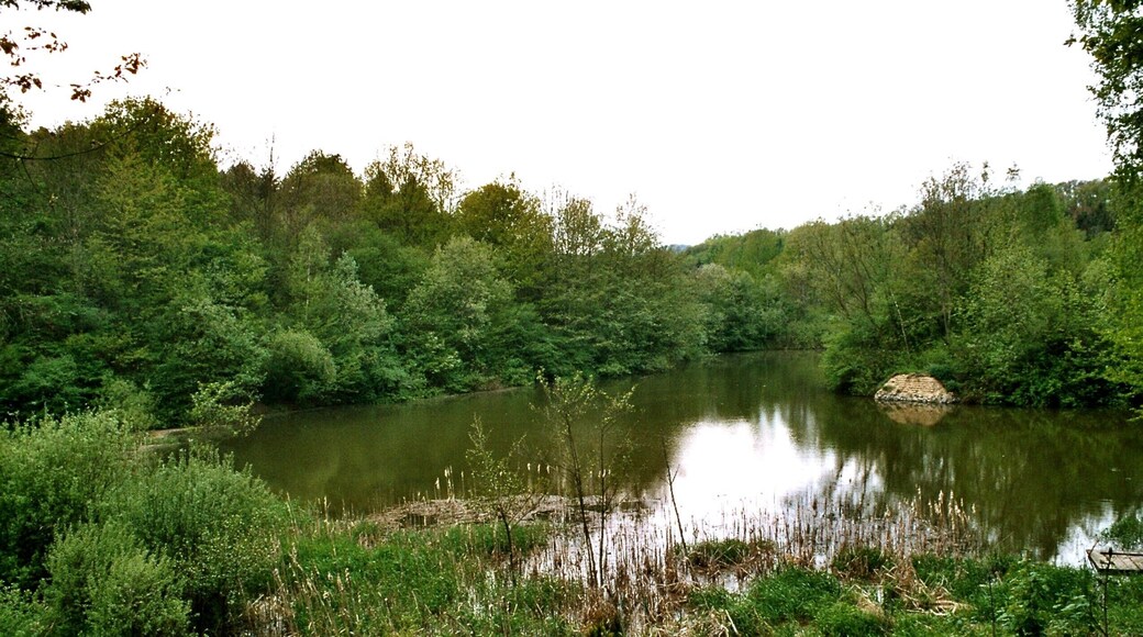 Osterbrücken (St.Wendel), biotop