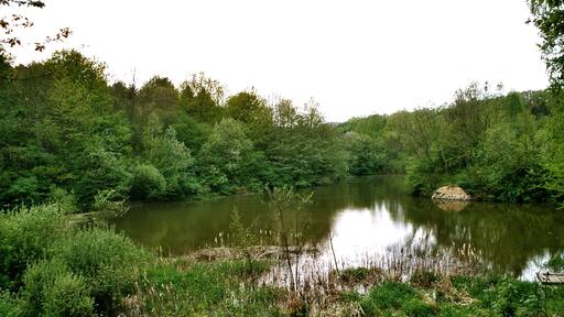 Osterbrücken (St.Wendel), biotop