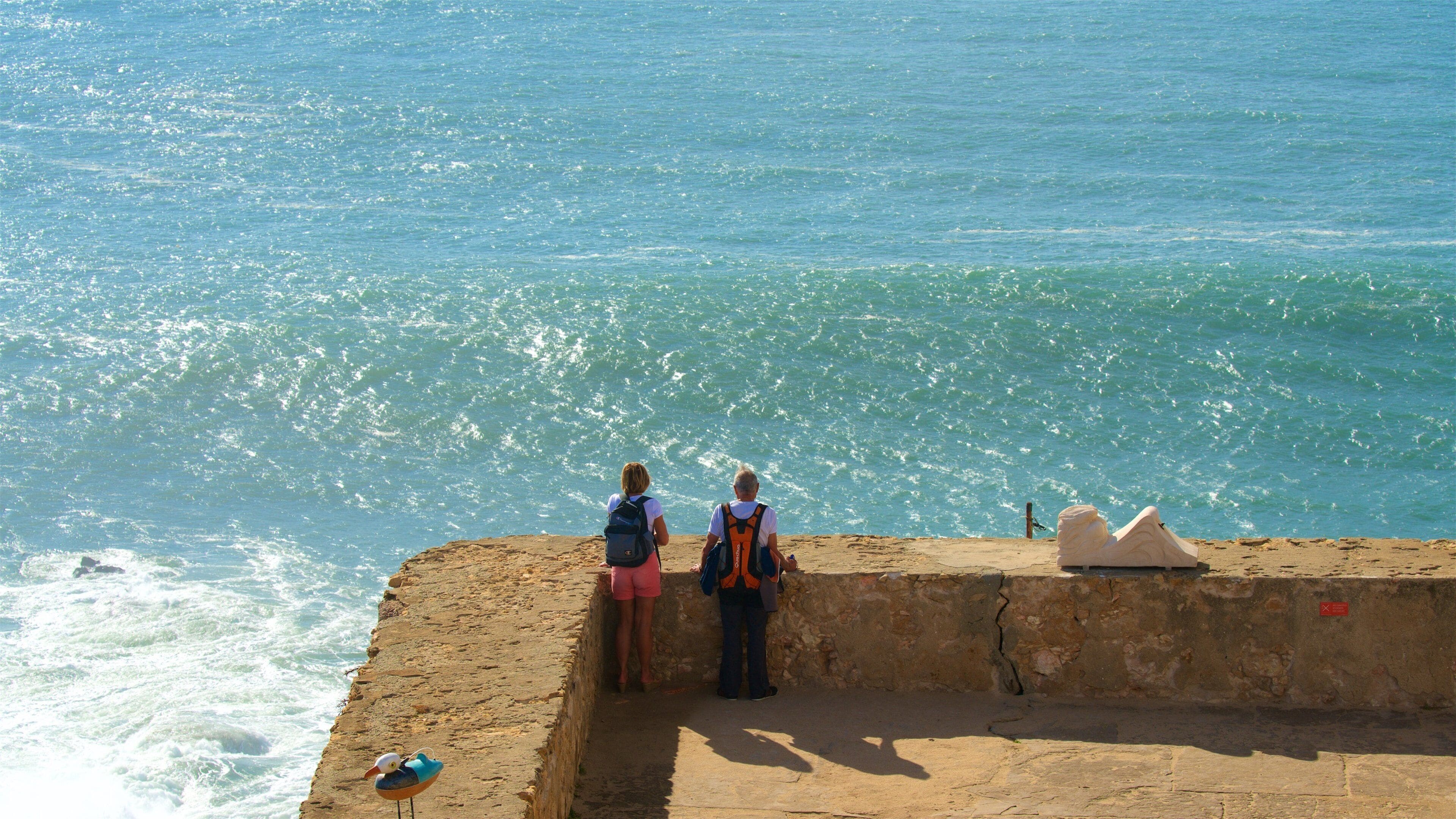 Nazare que incluye vistas y vistas de una costa y también una pareja