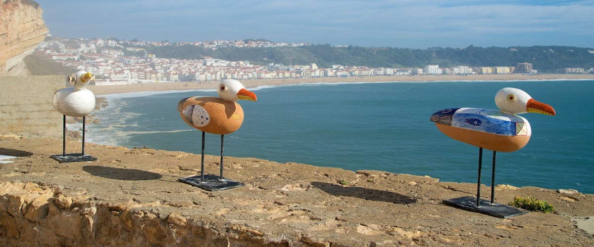 Nazare ofreciendo vistas de una costa y una localidad costera