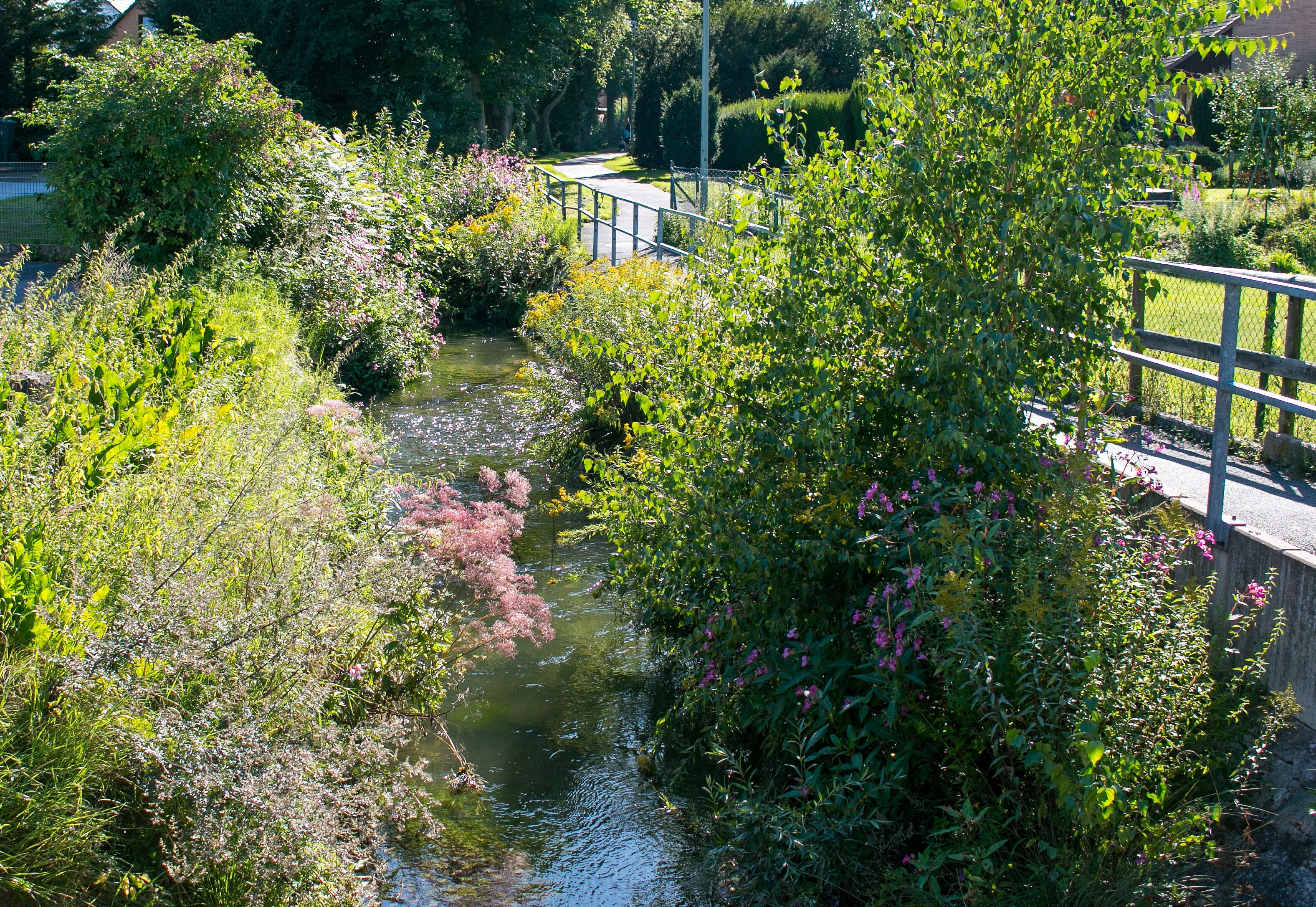 Die Grone gesehen ab der Fußgängerbrücke Bachstraße in Grone (Göttingen)