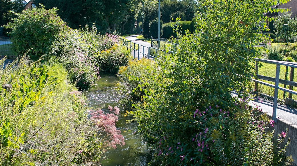 Die Grone gesehen ab der Fußgängerbrücke Bachstraße in Grone (Göttingen)