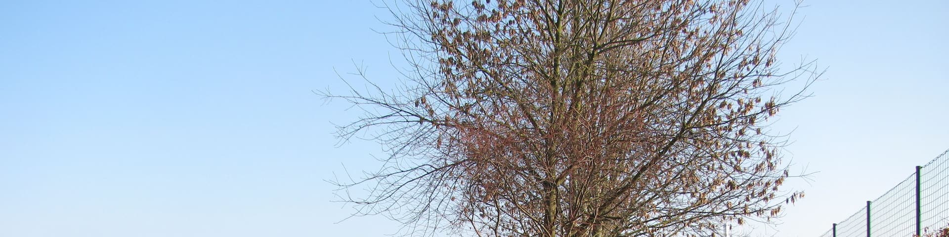 ein Spazierweg durch Göttingen und klick: Freiflächen und der Fußweg nördlich des Freibads Grone
