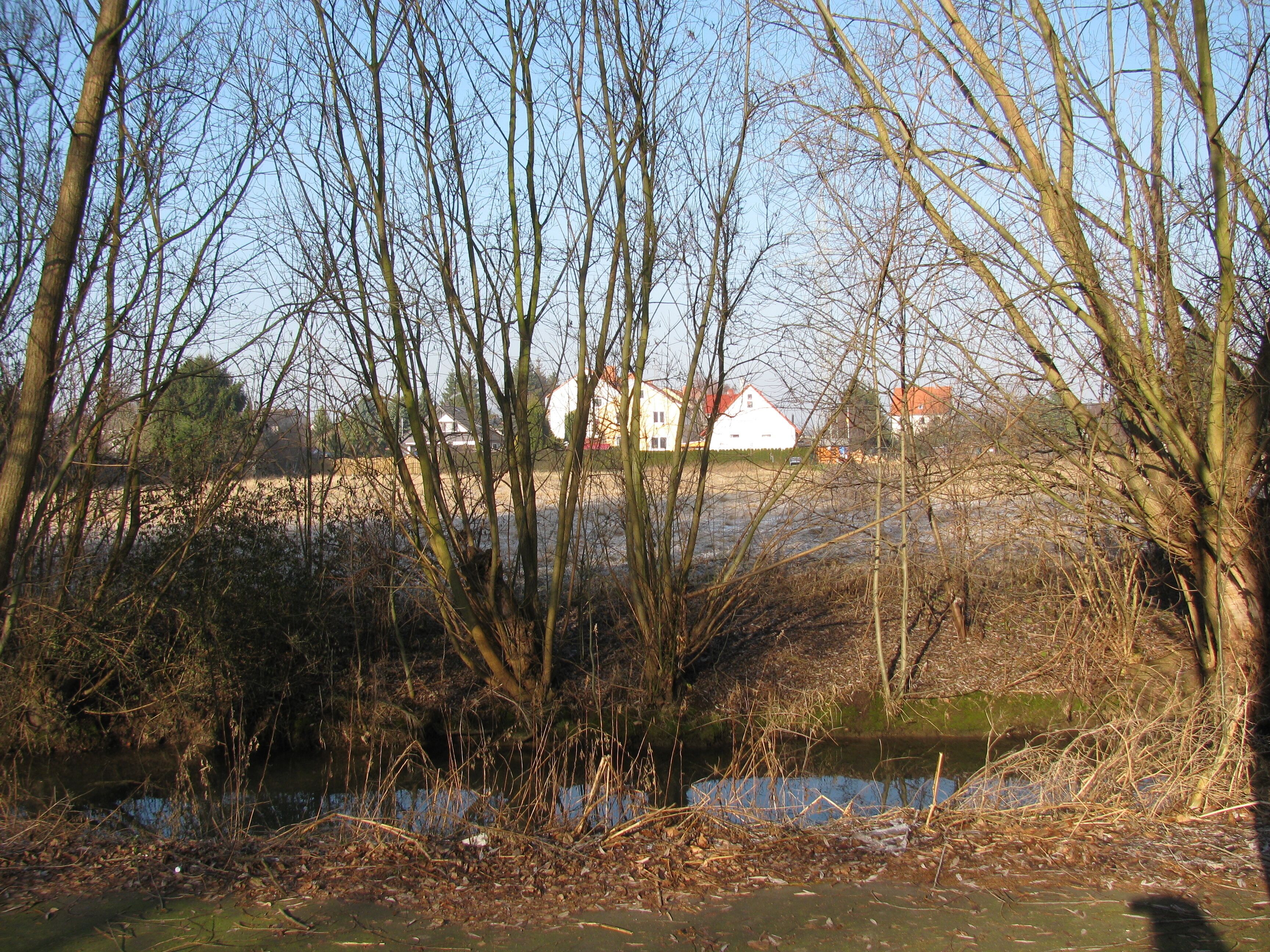ein Spazierweg durch Göttingen und klick: Blick vom Fußweg rechts der Grone über den Bach und freies Feld auf Häuser am Greitweg