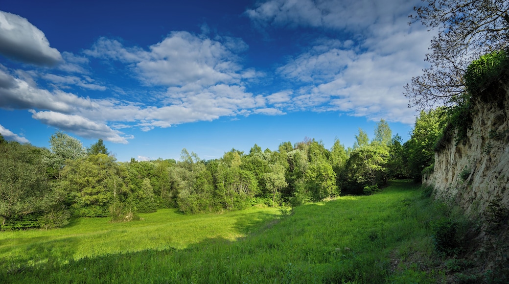 Naturschutzgebiet Lehmgrube am Heulenberg