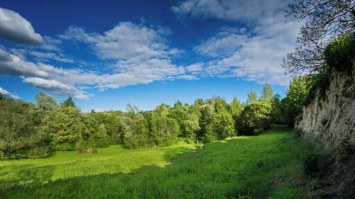 Naturschutzgebiet Lehmgrube am Heulenberg