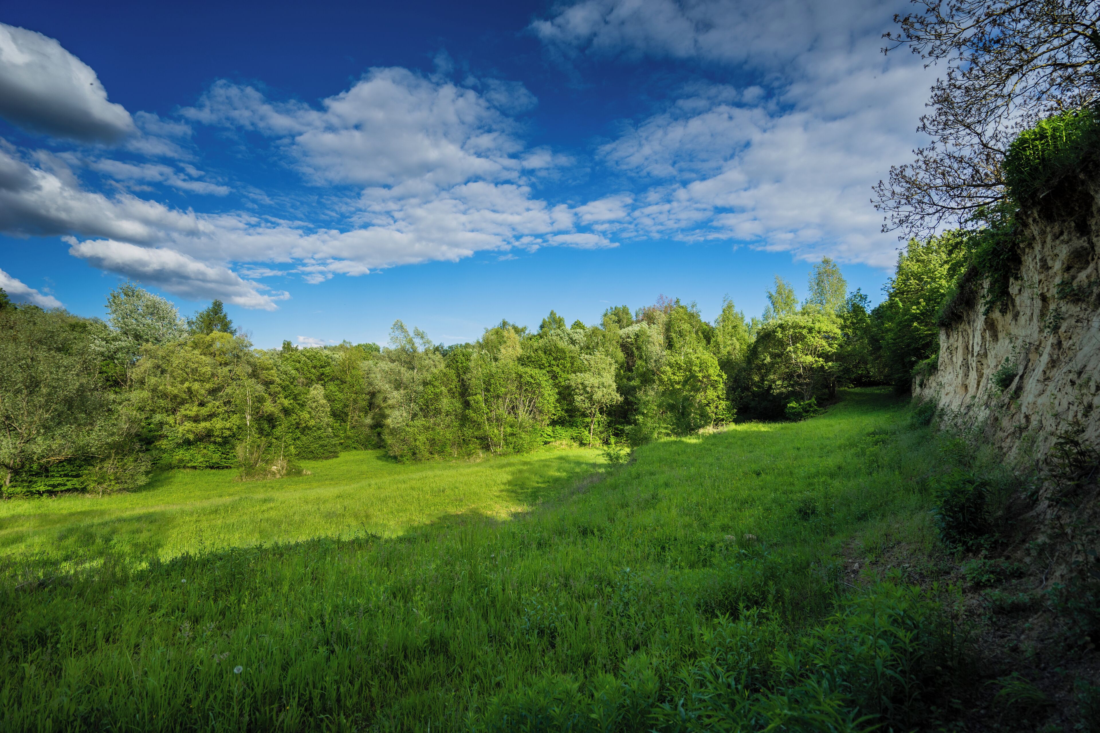 A lush green field with a cliff and trees under a partly cloudy sky.