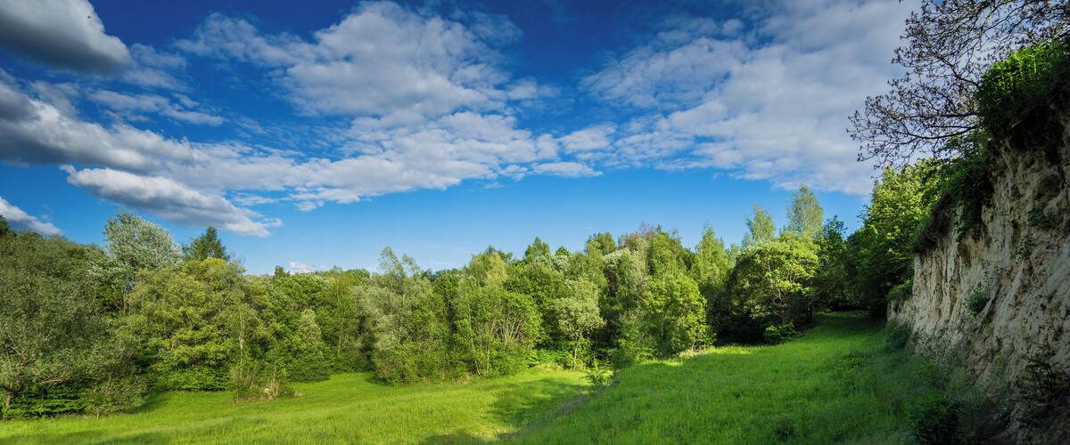 A lush green field with a cliff and trees under a partly cloudy sky.