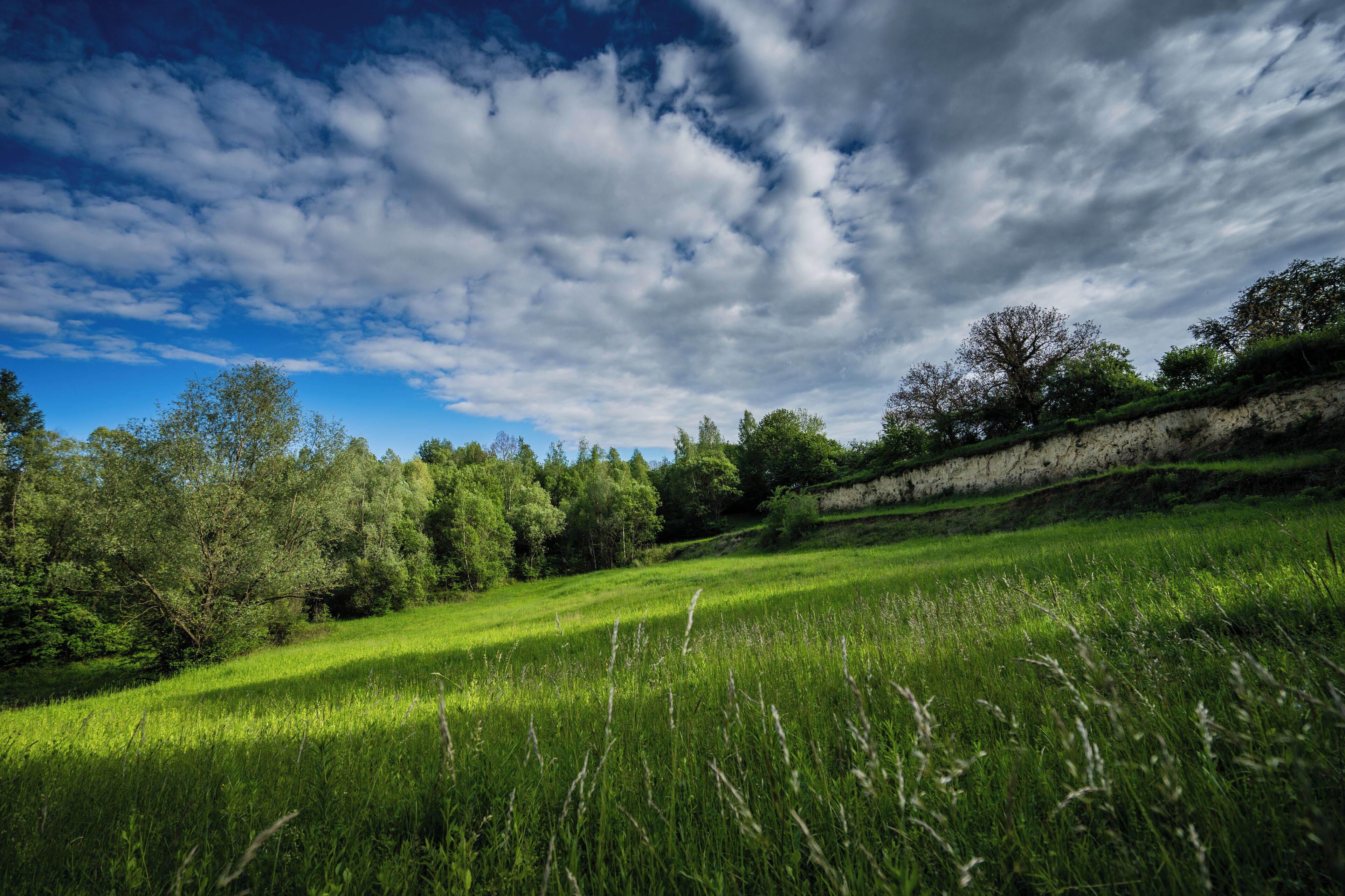 Naturschutzgebiet Lehmgrube am Heulenberg