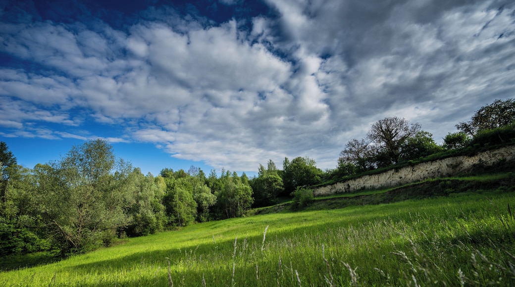 Naturschutzgebiet Lehmgrube am Heulenberg