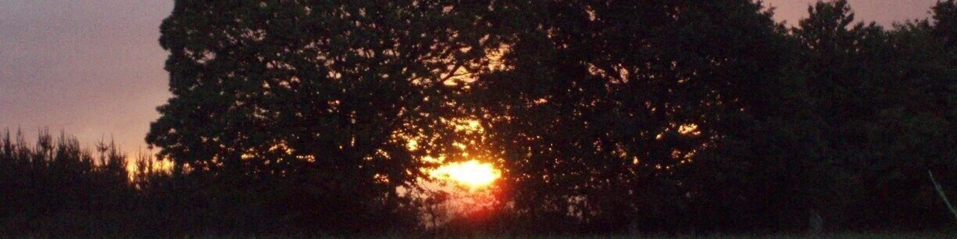 Camino. An early start with a beautifull sunset