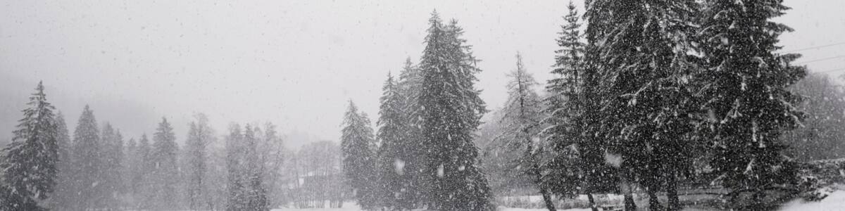 Natural landscape with snowfall in the French Alps , on the shore of Chavants Lake in Les Houches, Chamonix, France