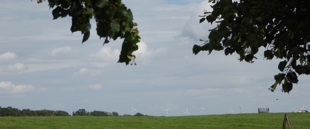 A grassy field with wind turbines in the distance.