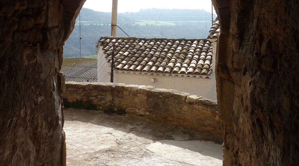 Portal al carrer d'Amunt de Vall-llebrera (Artesa de Segre)