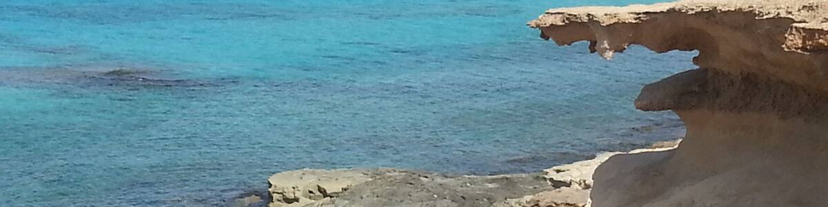 Near and beautiful from Barcelona