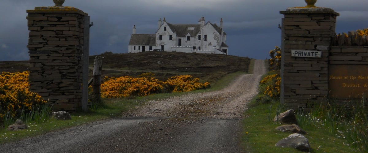 A private estate with a white house on a hill, surrounded by yellow flowers and a gravel path leading to the entrance.