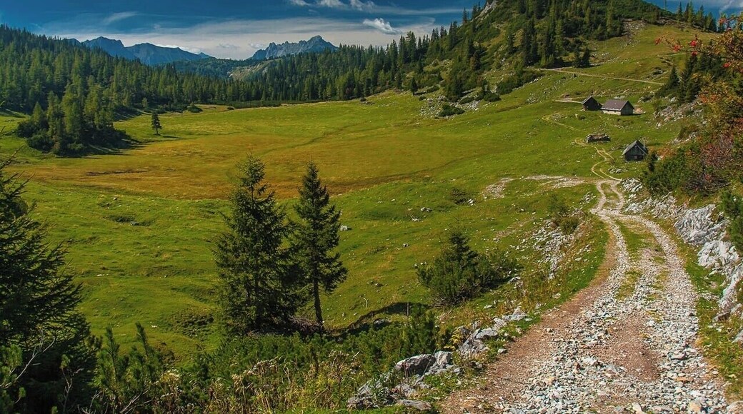 September 2016
Sackwiesenalm, Hochschwab, Steiermark land, Austria
Sackwiesenalm is a picturesque mountain meadow just under the main range of Hochschwab mountain range. It is located in altitude of 1.458 meters. Its name probably refers to the fact that is is a moist meadow or a small moorland. It is few hours hike southwest from the Schiestlhaus and totally worth due to the variable countryside (barren limestone plateau with grassy meadows, green scrub pine forrests, classical mountain forrests) and near Sackwiesensee offering a natural swimming opportunity.