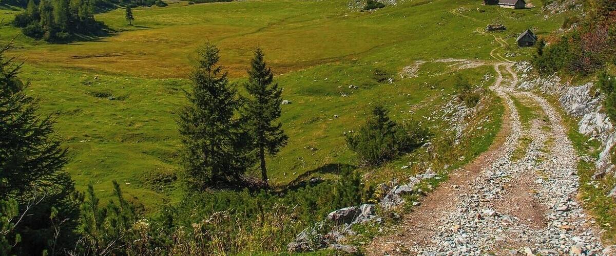 September 2016
Sackwiesenalm, Hochschwab, Steiermark land, Austria
Sackwiesenalm is a picturesque mountain meadow just under the main range of Hochschwab mountain range. It is located in altitude of 1.458 meters. Its name probably refers to the fact that is is a moist meadow or a small moorland. It is few hours hike southwest from the Schiestlhaus and totally worth due to the variable countryside (barren limestone plateau with grassy meadows, green scrub pine forrests, classical mountain forrests) and near Sackwiesensee offering a natural swimming opportunity.