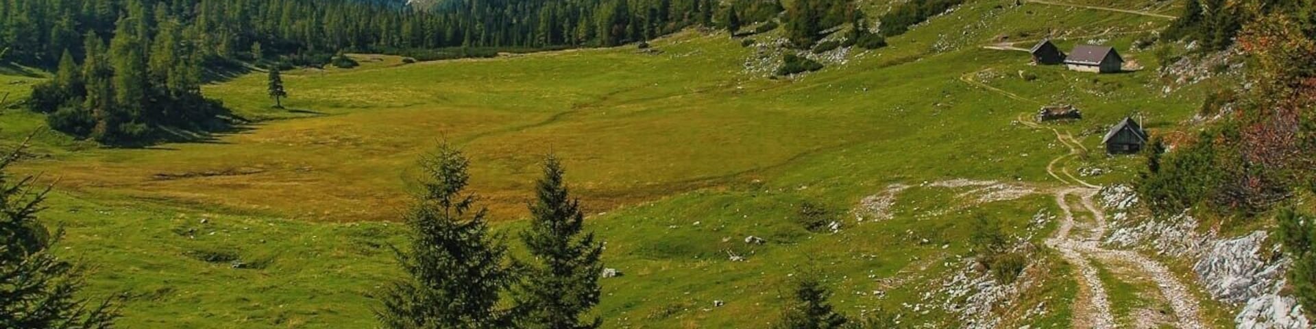 September 2016
Sackwiesenalm, Hochschwab, Steiermark land, Austria
Sackwiesenalm is a picturesque mountain meadow just under the main range of Hochschwab mountain range. It is located in altitude of 1.458 meters. Its name probably refers to the fact that is is a moist meadow or a small moorland. It is few hours hike southwest from the Schiestlhaus and totally worth due to the variable countryside (barren limestone plateau with grassy meadows, green scrub pine forrests, classical mountain forrests) and near Sackwiesensee offering a natural swimming opportunity.
