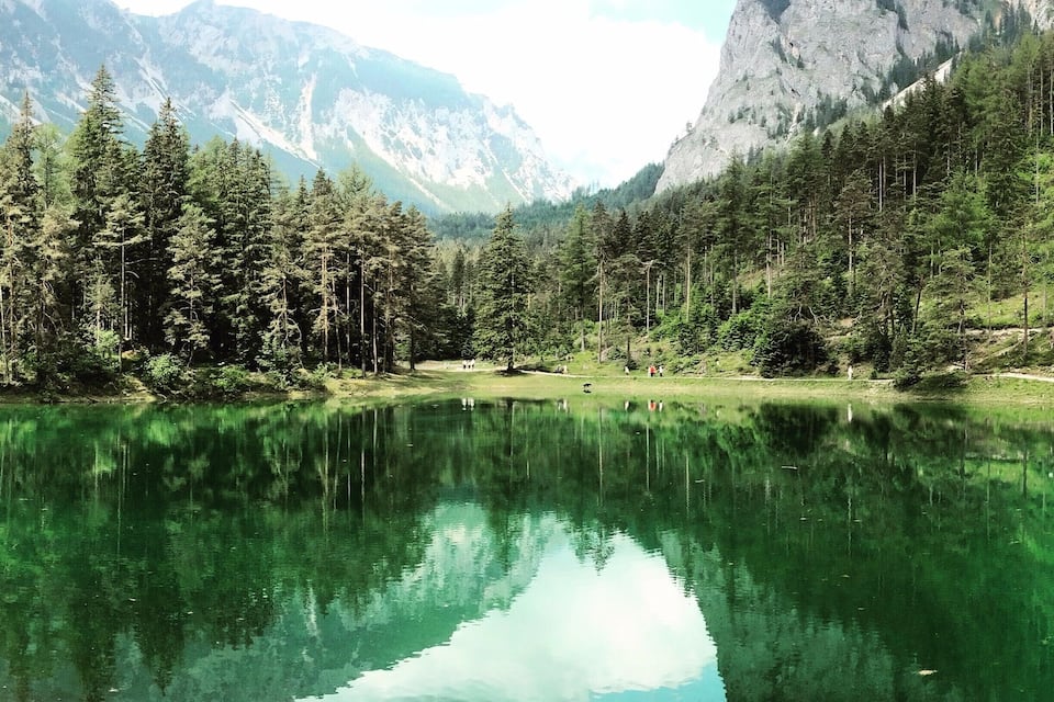 Un lago tranquilo rodeado de un bosque denso y montañas.