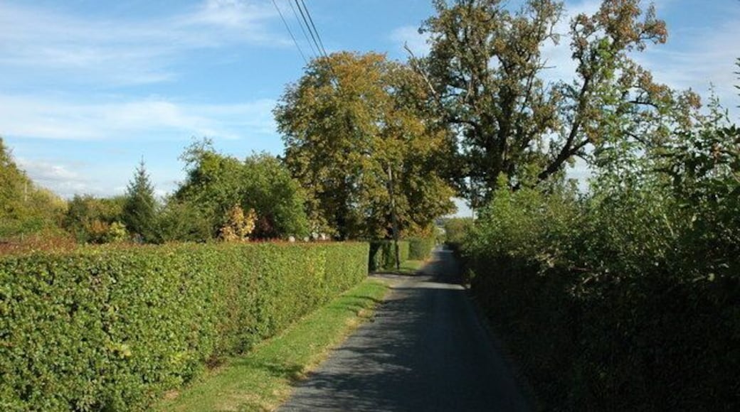 Snig's End, Corse No through at Snig's End, Corse. Down this road are a number of Chartist dwellings each with its own small plot of land.