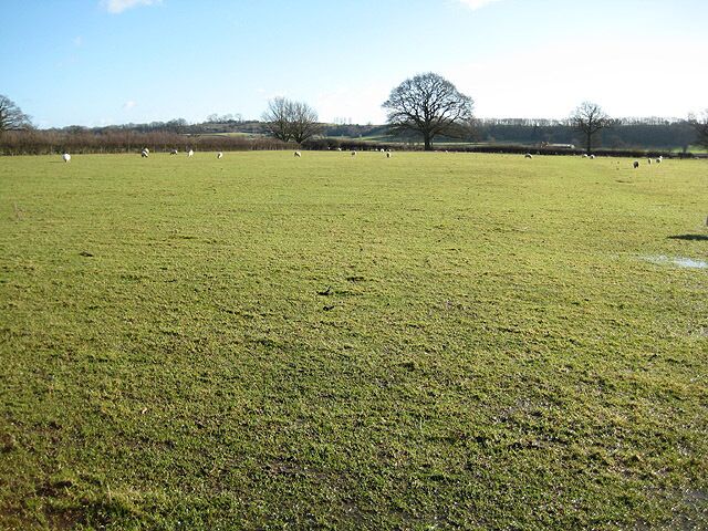 Footpath to Corse Wood Hill Doesn't look as if many feet have trampled this path.