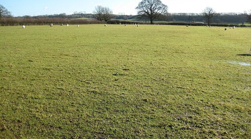 Footpath to Corse Wood Hill Doesn't look as if many feet have trampled this path.
