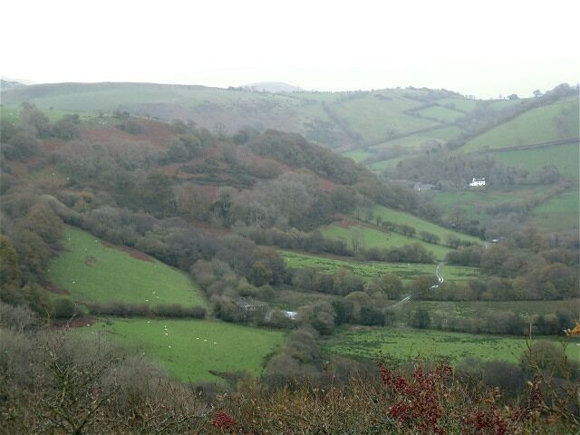 Cwm-marchon under Mynydd Llansadwrn Looking from nearer the road that runs above the west head of the little valley. A waterlogged track leads into knot of trees on the floor in the centre of the square, where Graig Beynon should be.