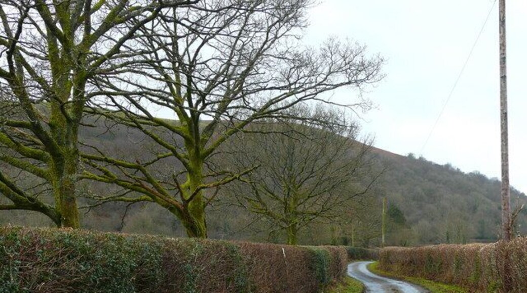 Lon gul ger Halfway / Narrow lane near Halfway. Lon gul rhwng Halfway a Llansadwrn / Narrow lane between Halfway and Llansadwrn.