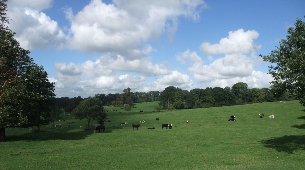 Parkland of Watford Court