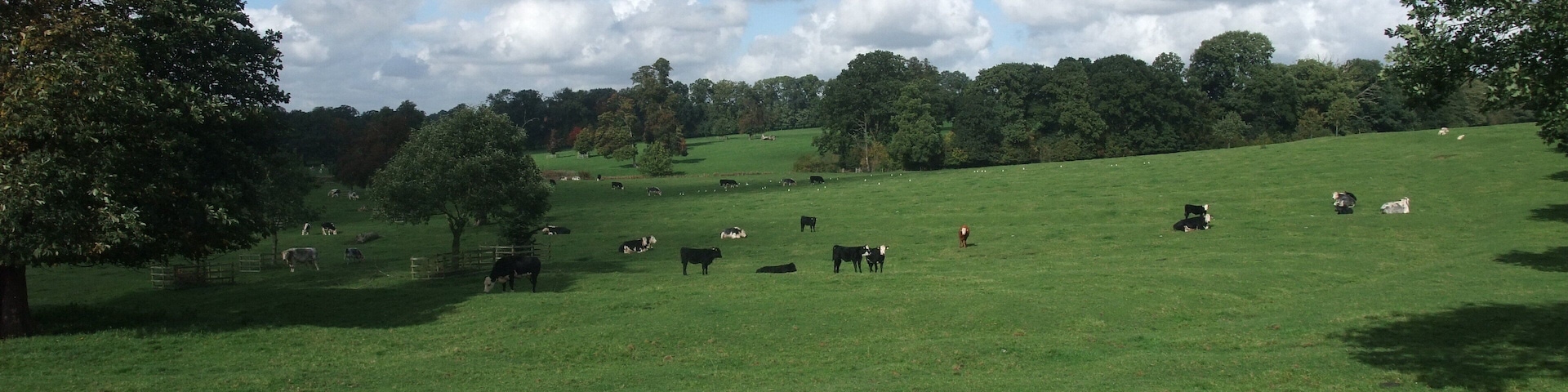 Parkland of Watford Court