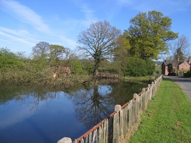 Village Pond at Coddington Sadly one of the old trees on the edge of this picturesque village pond has fallen into the water. The minor road on the right continues down the hill towards Coddington Mill.