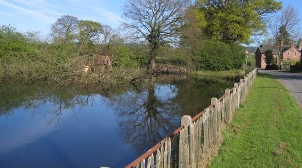 Village Pond at Coddington Sadly one of the old trees on the edge of this picturesque village pond has fallen into the water. The minor road on the right continues down the hill towards Coddington Mill.