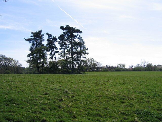 Farmland and Mound at Coddington. Viewed from the lane opposite the parish room at Coddington. The clump of trees in the field disguise an ancient mound or tumulus, depending upon which map you look at. A public footpath runs across the field to the left of the mound - see 412362 .