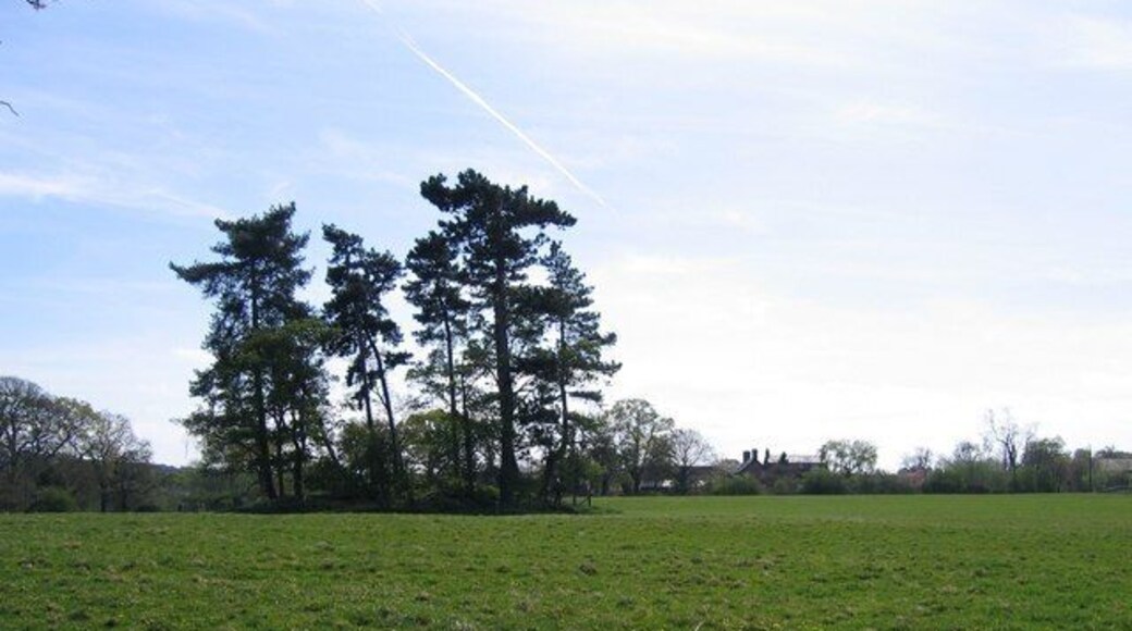 Farmland and Mound at Coddington. Viewed from the lane opposite the parish room at Coddington. The clump of trees in the field disguise an ancient mound or tumulus, depending upon which map you look at. A public footpath runs across the field to the left of the mound - see 412362 .
