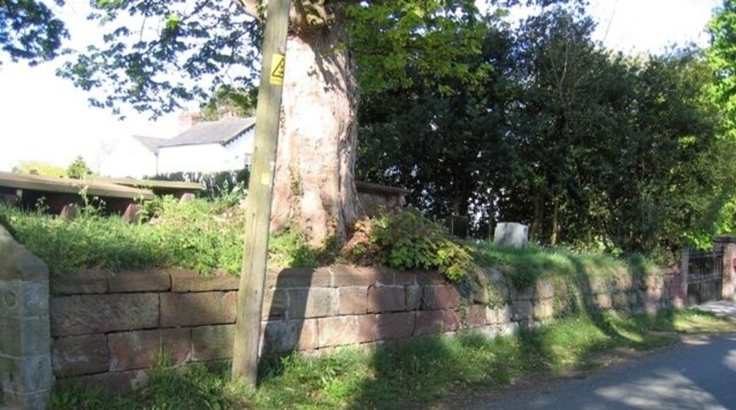 Graveyard Wall at Coddington St Mary. Viewed from Aldersey lane, this section of the graveyard wall runs between the church steps on the left, see 414565, and the gate to the old rectory on the right. About halfway along, between the wooden pole and the rectory gate, there is an inscribed stone with the name of at least one church warden, and the date 1748. This stone would seem to date the wall. Also see 414583 .
